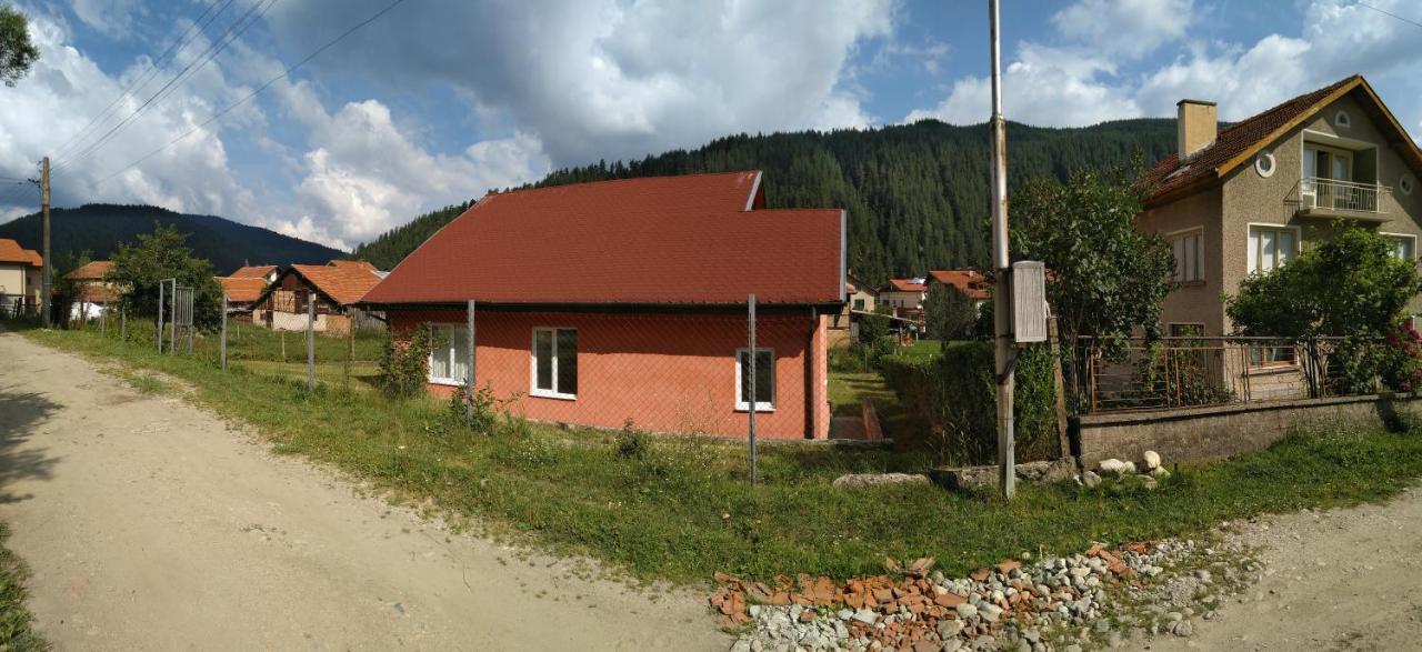 Villa Irina - Govedartsi Exterior foto